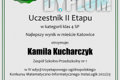 dyplom_instalogik_4_kamila_kucharczyk-1