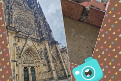 photocollage_1747070515571