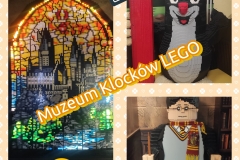 photocollage_1747070745274